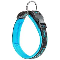 Ferplast Sport 25 Mm 55 Cm Hundehalsband