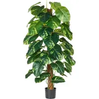 Beliani Dieffenbachia