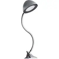 Licht-Erlebnisse LED Schreibtischlampe Edelstahl Flexarm 60 cm hoch Klemmleuchte in Silber neutralweiß 4100 K 248 lm