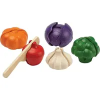 PlanToys Holzspielzeug 5-Farben-Gemüse-Set