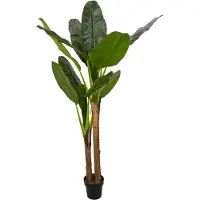 WDMT Zimmerpflanze Musa – ø 45 x 160 cm – Bananenpflanze aus Kunststoff – Kunstpflanze – Allergikerfreundliche Pflanze – Grün