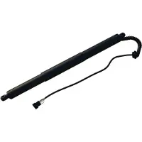 Diederichs 9100528 Gasfeder Heckklappendämpfer für BMW X5 (F15, F85)