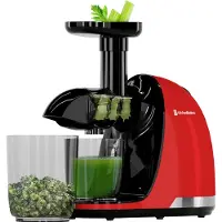 Kitchenbrothers Slow Juicer - Entsafter - Obst- und Gemüsepresse - 700ml - Mit Fruchtfleischbehälter - Rot