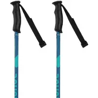 Rossignol Electra Frau Pole