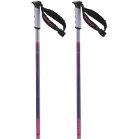 Salomon Arctic S3 Xl Stöcke