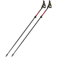 Fizan Carbon Pro Impulse Stöcke