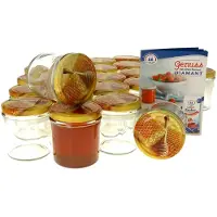MamboCat 25er Set Sturzglas 350 ml Carino To 82 Deckel mit Honigwabe incl. Diamant Gelierzauber Rezeptheft