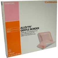 Smith&Nephew Allevyn Gentle Border 12,5x12,5 cm Schaumverb. 5 St Verband