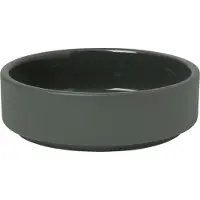 Blomus Schale Pilar Agave Green 10 cm