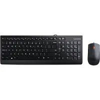 Lenovo 300, Volle Größe (100%), USB, QWERTY, Schwarz, Maus enthalten