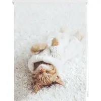 Lichtblick Rollo Klemmfix, ohne Bohren, Verdunkelung, Sleepy Cat - Weiß 90 x 150 cm (B x L)