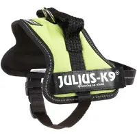 JULIUS K-9 Power Hundegeschirr