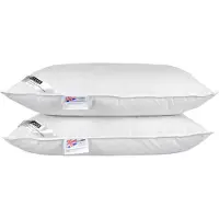 Homescapes KOPFKISSEN 2er-Set Federn & Daunen 48/74 cm