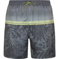 Protest Herren Beachshort PRTELJAS Huntergreen S