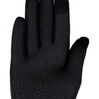 Viking Nepal 2 Handschuhe