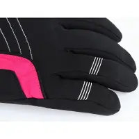 Viking Helix Gore-tex Handschuhe