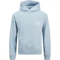 Jack & Jones Kapuzensweatshirt "JORNORREBRO TYPO BACK SWEAT HOOD SN", mit Print