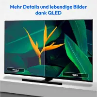 Medion 108 cm (43 Zoll) QLED Fernseher (Smart TV, 4K, Dolby Vision HDR, Prime Video, Disney+, Dolby Atmos, DTS X, kompatibel mit Google TV, PVR, Bluetooth, MD 843700)