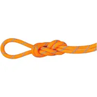 Mammut Bergseil 8.7 Alpine Sender Dry Rope 60m