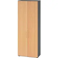 Hammerbacher Regal/Türen 6OH 968T6 Graphit/Buche