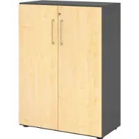 Hammerbacher Flügeltürenschrank V9