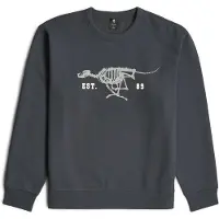 G-Star für Herren. D27095-D733-H392 Running Dog Rücken Pullover grau (M), Lässig, Baumwolle