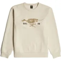 G-Star für Herren. D27095-D733-1603 Laufhund Rücken beige Pullover (XL), Lässig, Baumwolle