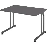 Froschkönig24 Schreibtisch Z-Serie | inkl. Kabelwanne | C-Fuß | höheneinstellbar, Größe Tischplatte:120 x 80 cm, Farbe Tischplatte:Graphit, Farbe Gestell:Graphit