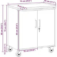vidaXL Werkzeugschrank