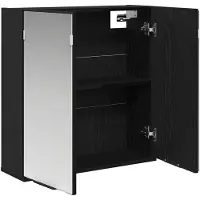 vidaXL Spiegelschrank Schwarz Eichen-Optik 64 x 20 x 67 cm