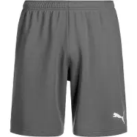 Puma Kindershorts Team Rise
