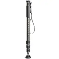 Gitzo GM2542 eXact carbon Einbeinstativ Series 2
