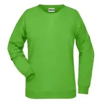 James & nicholson Damen Raglan Sweater Sweatshirt 8021 lime green S