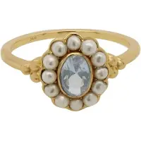 24Kae Ring vergoldet 12416Y