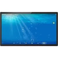 ALLNET ALLPRO21RK3399A11POEV2, Digital Signage Flachbildschirm, 54,6 cm (21.5"), LCD, 1920 x 1080 Pixel, WLAN