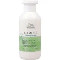 Big Buy Cooking Champú Wella Elemente 250 ml