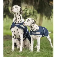 Waldhausen Hunde Regendecke