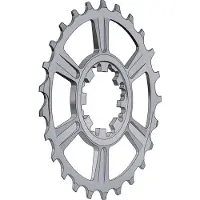 Miche Supertype 10s Campagnolo Last Position Ritzel