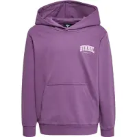 Hummel Fast Kapuzenpullover
