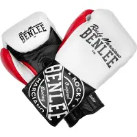 Benlee Cyclone Lederboxhandschuhe