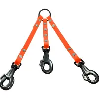Canihunt Extreme 2 Coupling Orange