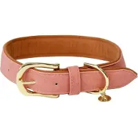 Kentucky Hunde Halsband vegan Leder