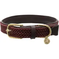 Kentucky Nylon Plaited Hundehalsband