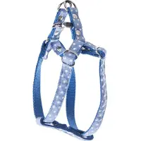 Martin sellier S
