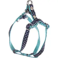 Martin sellier XS