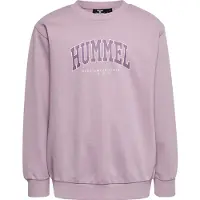 Hummel Pullover Kind Fast