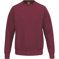 Erima Pullover TS