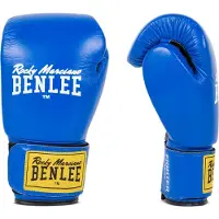 Benlee Fighter Lederboxhandschuhe