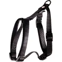 Martin sellier S