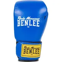 Benlee Fighter Lederboxhandschuhe